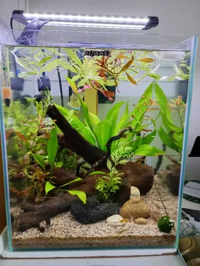 Nano 30l