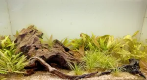 Nějaká poúklidová