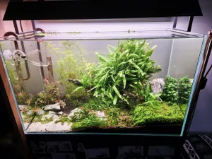 Poslední proměna před zrušením