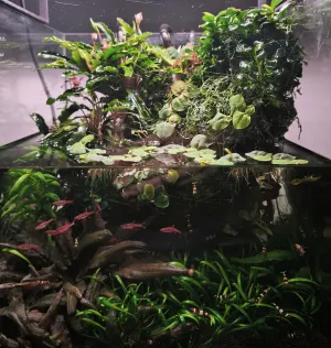 Paludárko Paludárko