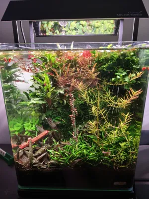 Krystalky na "DIY" lízátku