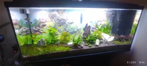 akvarium