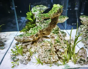 Doplněna solenka a šípatka