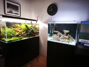 3TV