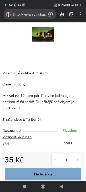 Náhled