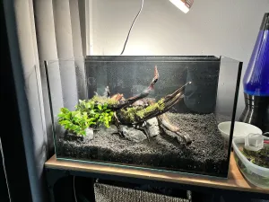 Snaha o nový hardscape Snaha o nový hardscape
