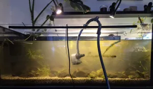Čištění filtru a výměna vody