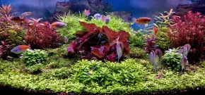 Akvárium Juwel Vision 450