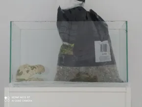 HF HF
