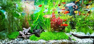 Aktuální stav 13.7.2025