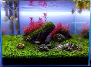 Poslední foto než jsem zahájil boj Poslední foto než jsem zahájil boj