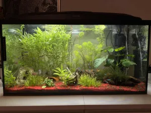 Po pár měsících zase update