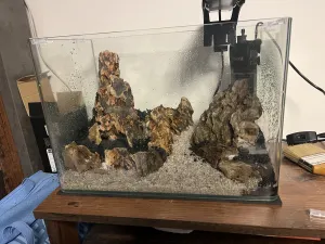 Hard scape Hard scape