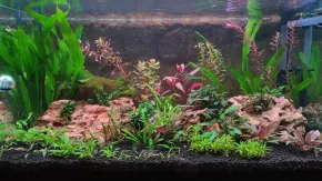 Akvarium Martin70 05/2025