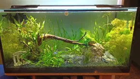 Akvárium 128 l
