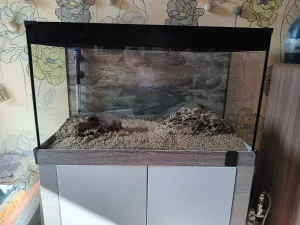 zasypání dna zasypání dna