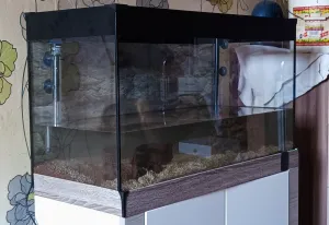 napouštění vody a sázení rostlinek napouštění vody a sázení rostlinek