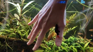 Aj vám labeo čistí pleť? :)