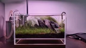 Shallow tank 1.0