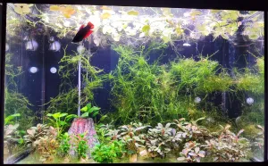 Po údržbě (hloubkovè)