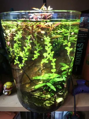 Monte Carlo se zase natahuje do prostoru