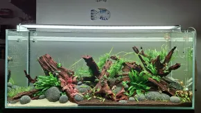 akvarko 3.0