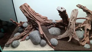 -
