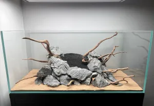 rozpracovaný hardscape