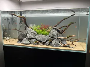 pomalu to roste, 10. den od zasazení... pomalu to roste, 10. den od zasazení...