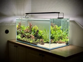 Diversa 182L Optiwhite