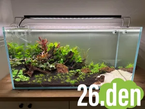 26.den - velká udžba