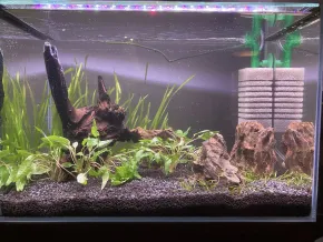 Akvárium 30L vol. 2