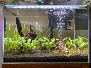 Foto po úplném vymizení nálevníka