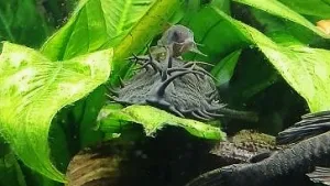 Proč se válet na tvrdém...