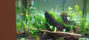 první a asi jediní obyvatelé