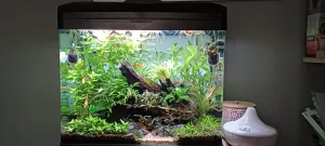 Současnost,trochu řasy,ale snad to bude ok