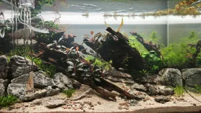 Trpaslíci na Modré zátoce