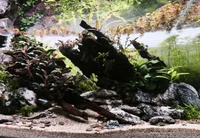 Trpaslíci na Modré zátoce