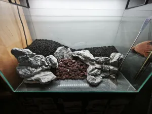 Starý japanese soil. Na něj přijde ještě vrstva nového 