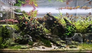 Deset týdnů od založení