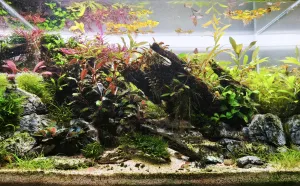 Jedenáct týdnů od založení