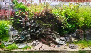 ...to je pěkná směsice