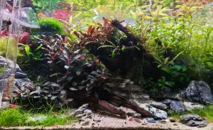 Čtyři měsíce od založení