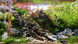 Osmnáct týdnů od založení