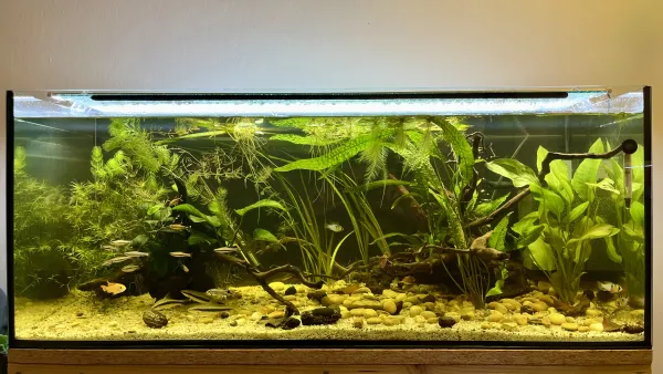 Hlavní fotka