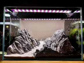 trail in the mountains