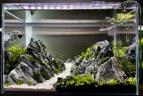 trail in the mountains