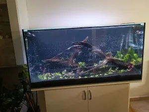 V tento den založeno