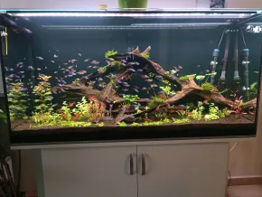 Po prvním měsíci od založení HF