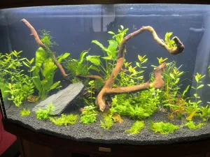 3.3.2026 - zákal zepředu